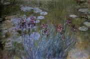 Claude Monet Irises and Water Lillies oil painting on canvas